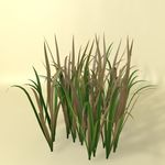 花草模型 植物模型 花卉模型