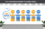 企业发展历程