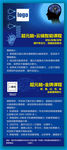 大脑智力开发宣传展架