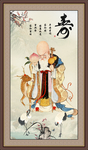 老寿星