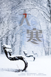 大寒图片
