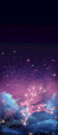 星空鹿