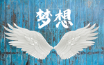 梦想的翅膀