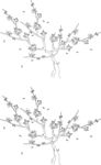 花树 矢量图