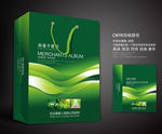 绿色手提袋 手提袋设计 手提袋