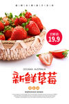 新鲜草莓海报