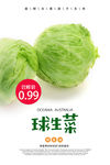 球生菜海报