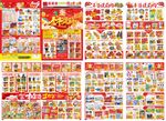 金牛送福超市春节邮报DM单