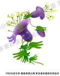 牵牛花 喇叭花