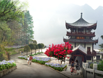 红花紫薇设计效果图