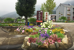 乡村花境景观设计效果图