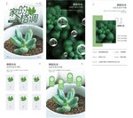 植物详情页