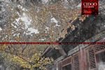 中国古代建筑