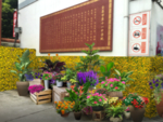 城市街景摆花设计效果图
