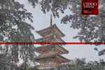 武汉大学