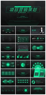 商务会议汇报项目介绍PPT