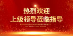热烈欢迎领导莅临指导展板背景