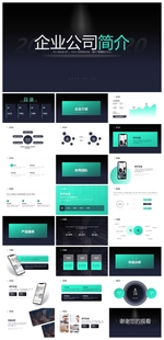 商务会议汇报项目介绍PPT