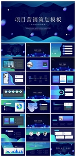 商务会议汇报项目介绍PPT