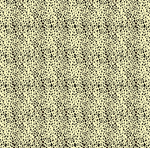 豹点