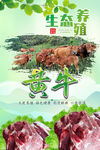 牛肉广告