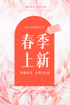 春季上新