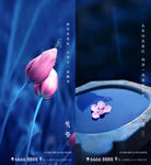 节气