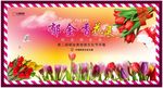 郁金香花展