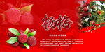 杨梅海报