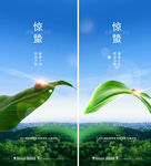 惊蛰