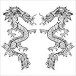 线稿龙