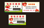 草莓采摘园名片