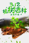 植树造林