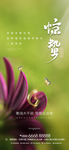惊蛰