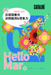 spring春夏蒲公英花朵
