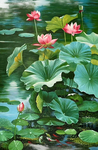 荷花装饰画