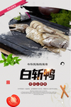 白斩鸭