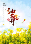 油菜花