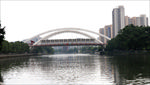 岐江风景 一桥