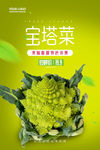 宝塔菜海报