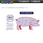 猪肉分解图分层图图片