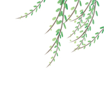 绿色植物装饰元素