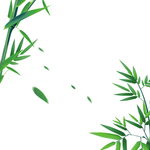 插画装饰绿色植物元素