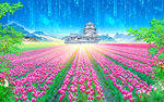花的海洋郁金香背景墙