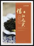信阳毛尖