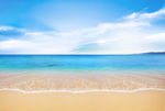 大海