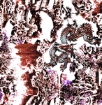 龙