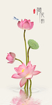 荷花韵