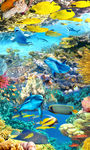 海豚海底世界地板画