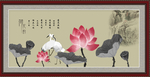 荷花韵